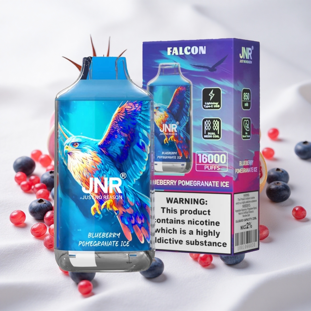 Mustika-Mustikas Jäätis JNR Falcon 16000 Puffs 850 mAh Tüüp C Laadimine