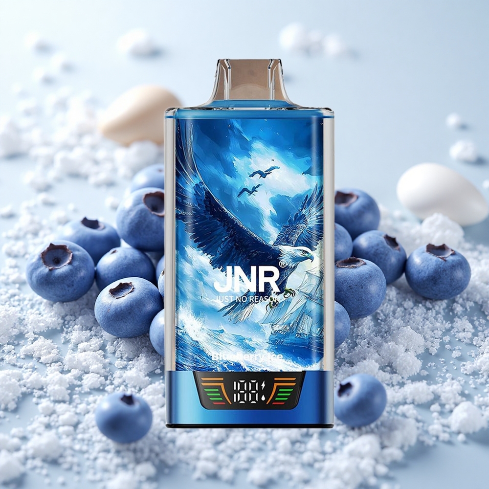 Mustikas-Jäätis JNR Falcon Pro 28000 Ühekordne Vape 30ml Eelnevalt Täidetud