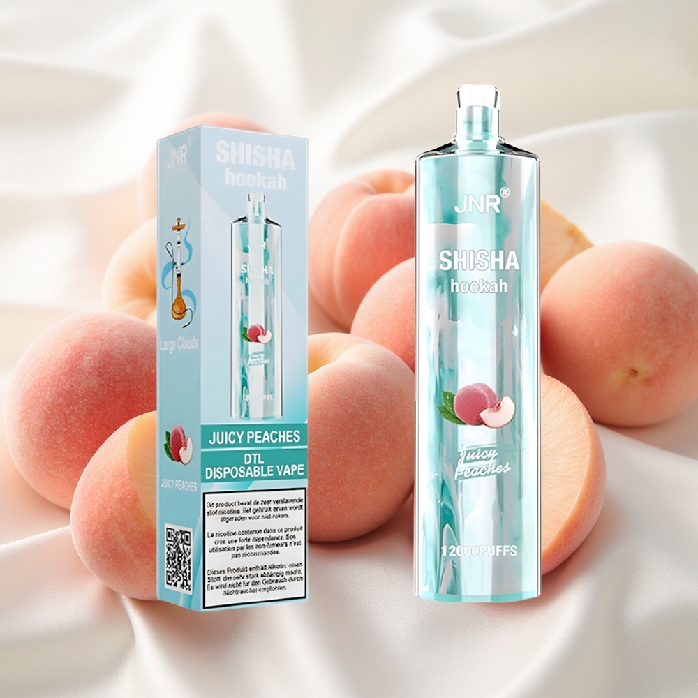 Mahlased virsikud JNR Shisha Hookah 12000 Puffs Ühekordne Vape 24ml