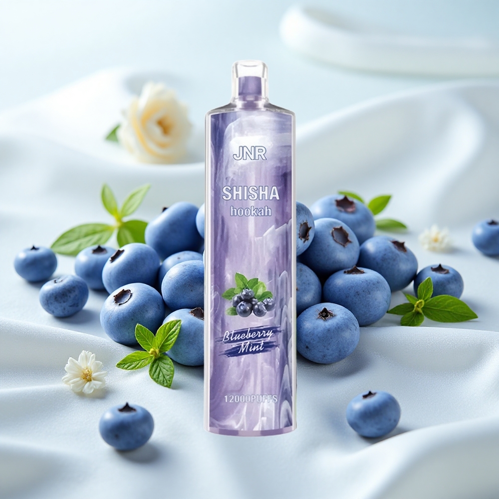 Mustikas-Münt JNR Shisha Hookah 12000 Puffs 24ml 0.6 Ohm