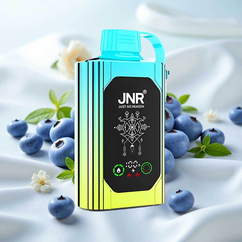 Mustikas-Münt JNR Shisha Hookah Box 20500 Puffs Kahetuumaline Võrkpoolik