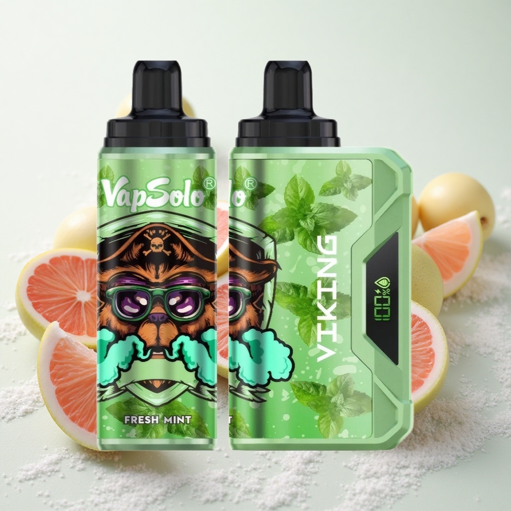 Värske Münt VapSolo VIKING 12000 Puffs 22ml Tüüp-C Ühekordne Vape