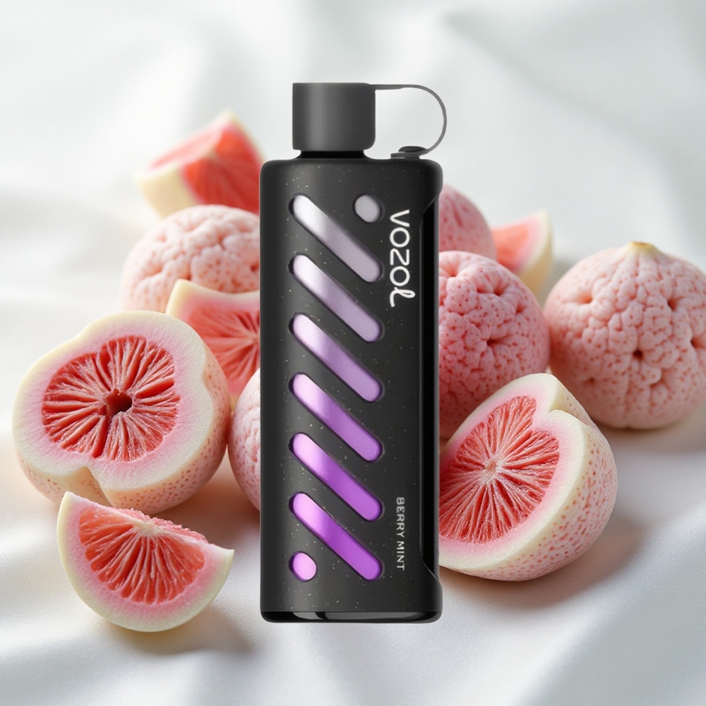 Mari-Münt VOZOL Gear 25000 Puffs S.i.L.C Tehnoloogiaga