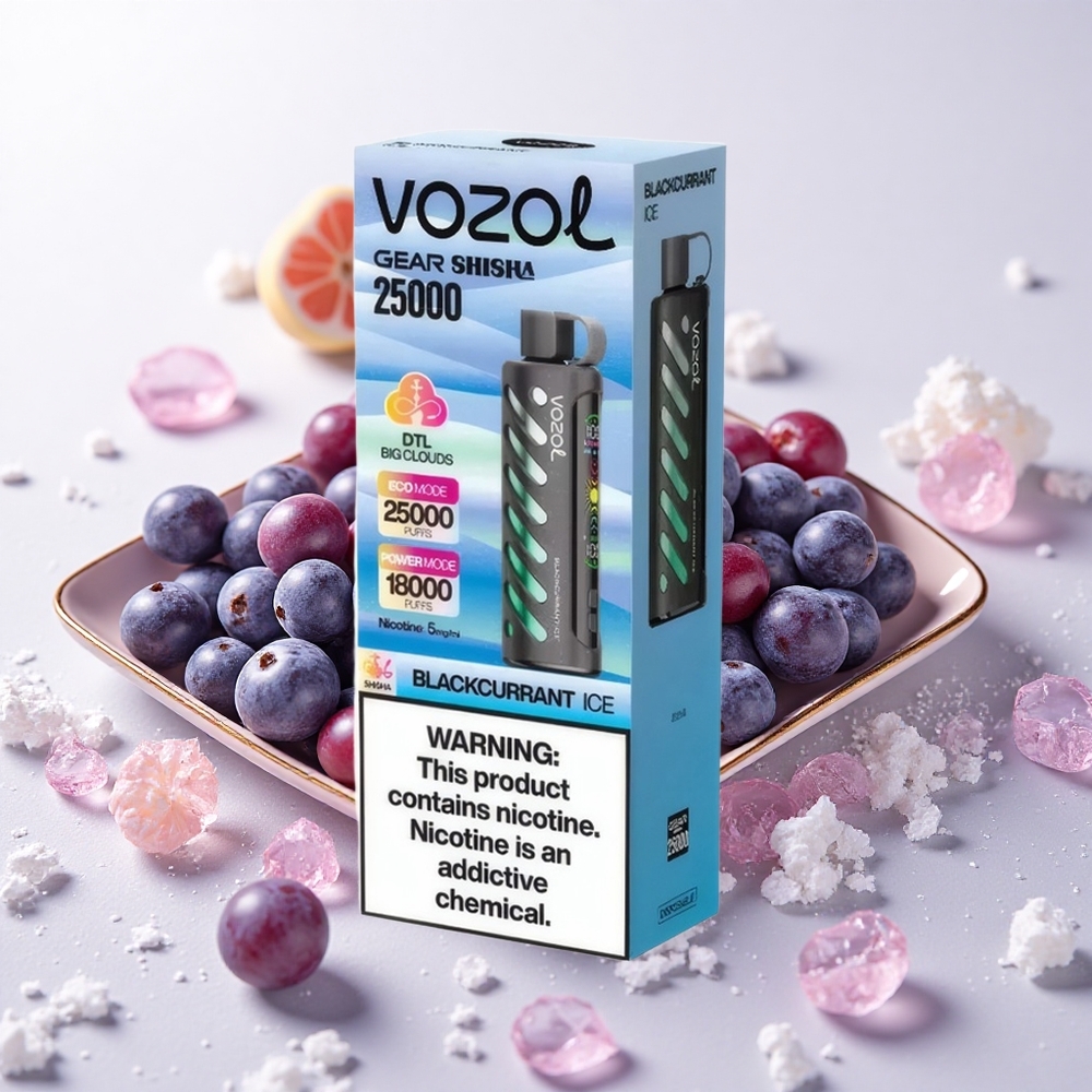 Mustikas-Jää VOZOL Gear Shisha 25000 Sööka Dual Mesh