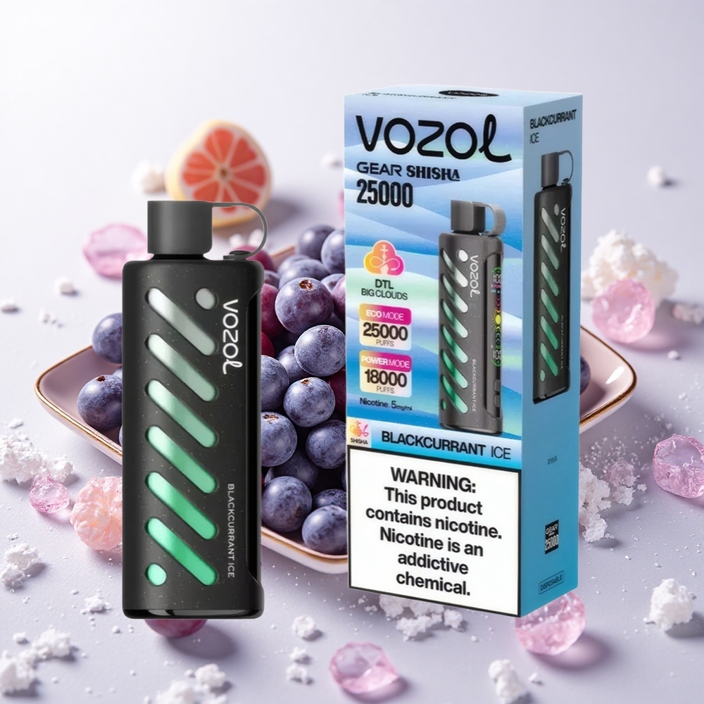 Mustikas-Jää VOZOL Gear Shisha 25000 Sööka Dual Mesh