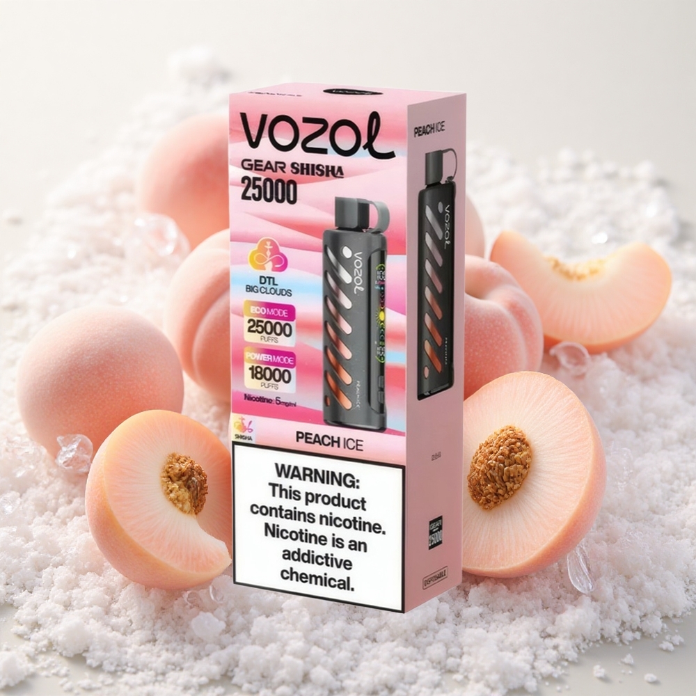 Virsik-Jää VOZOL Gear Shisha 25000 Puffs Dual Mesh