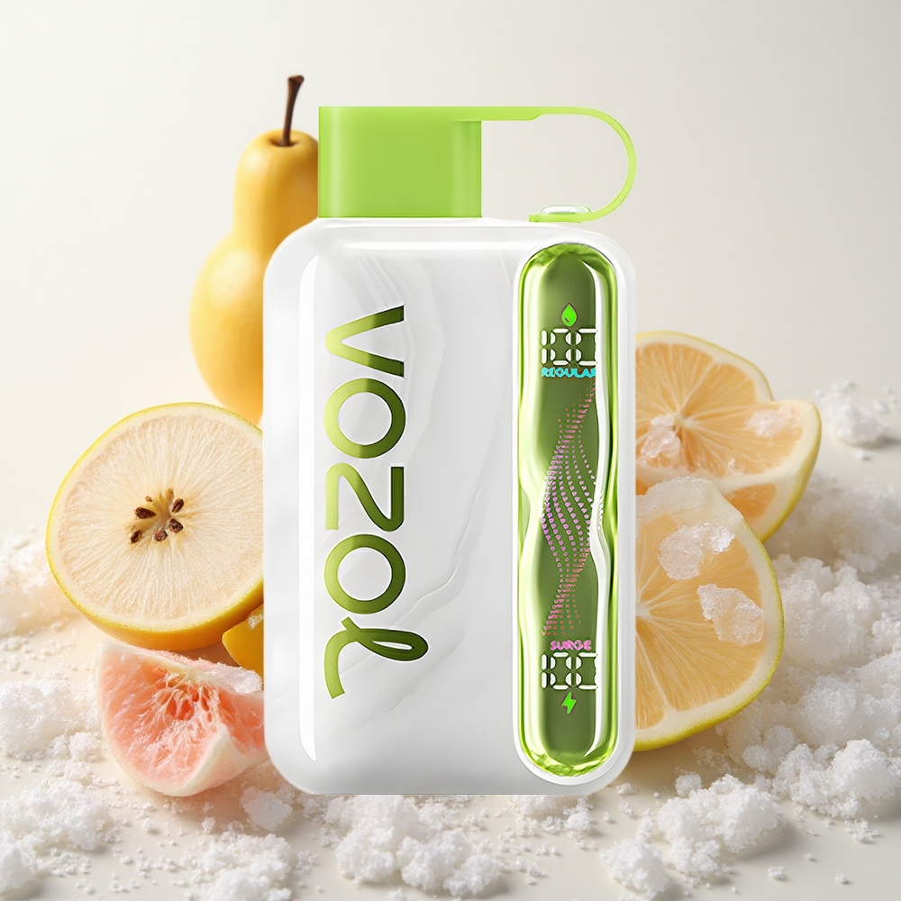 Hapukoore-Jää VOZOL STAR 40000 Puffs Ühekordne Vape 1000mAh Type-C