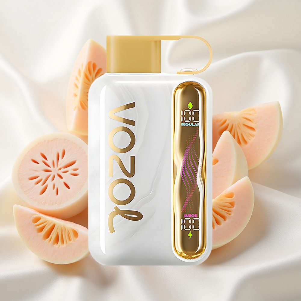 Meloongummi VOZOL STAR 40000 Suits 1000mAh Type-C
